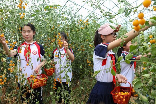 泗洪人才招聘，人才网成为求职招聘新平台