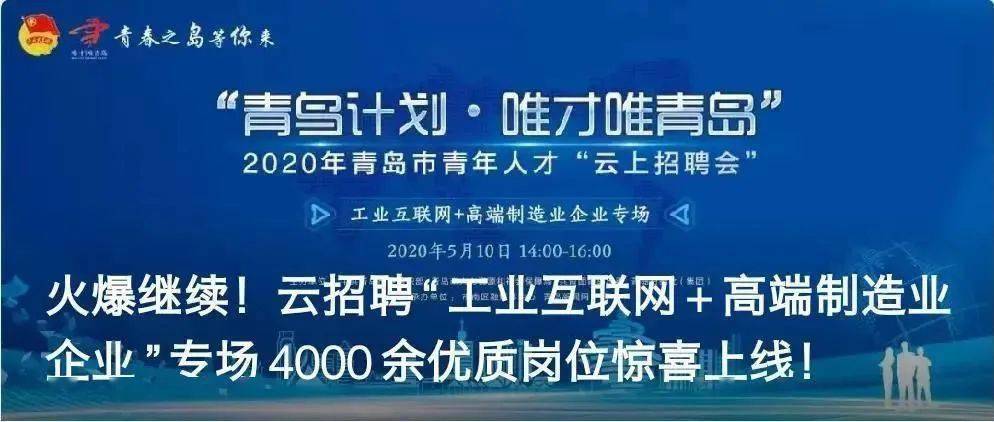 思域人才招聘信息网——连接人才与机遇的桥梁