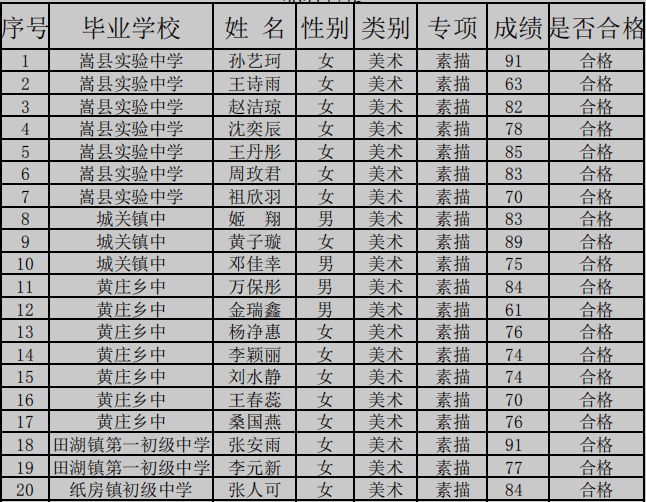 嵩县学生考试网查询成绩指南