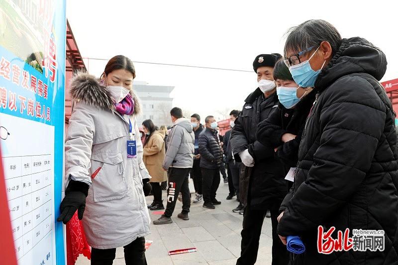 肃宁人才网招聘网——连接企业与人才的桥梁